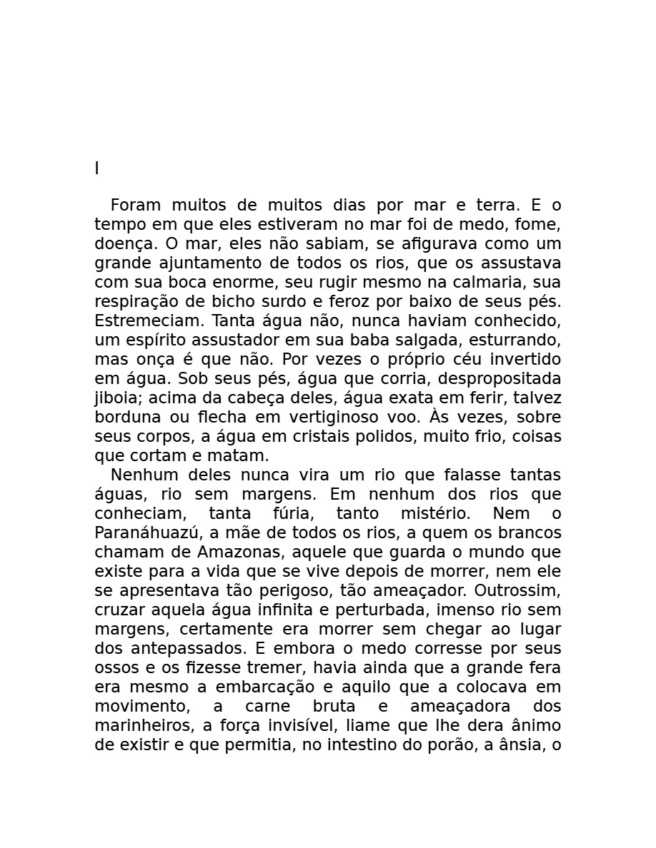 O som do rugido da onça (Micheliny Verunschk) — page 11