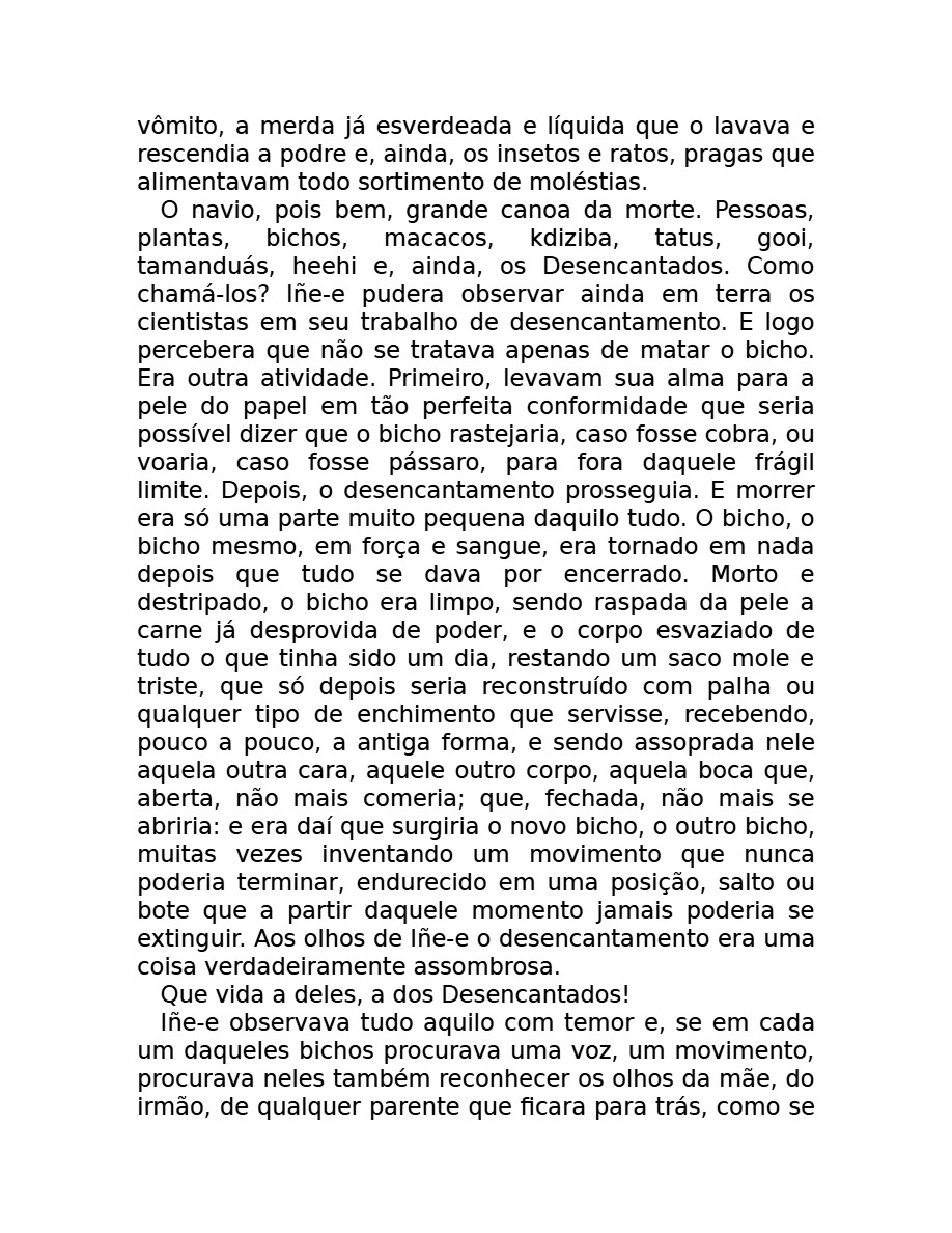O som do rugido da onça (Micheliny Verunschk) — page 12