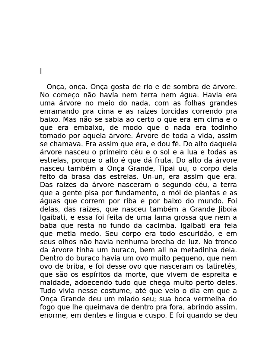 O som do rugido da onça (Micheliny Verunschk) — page 119
