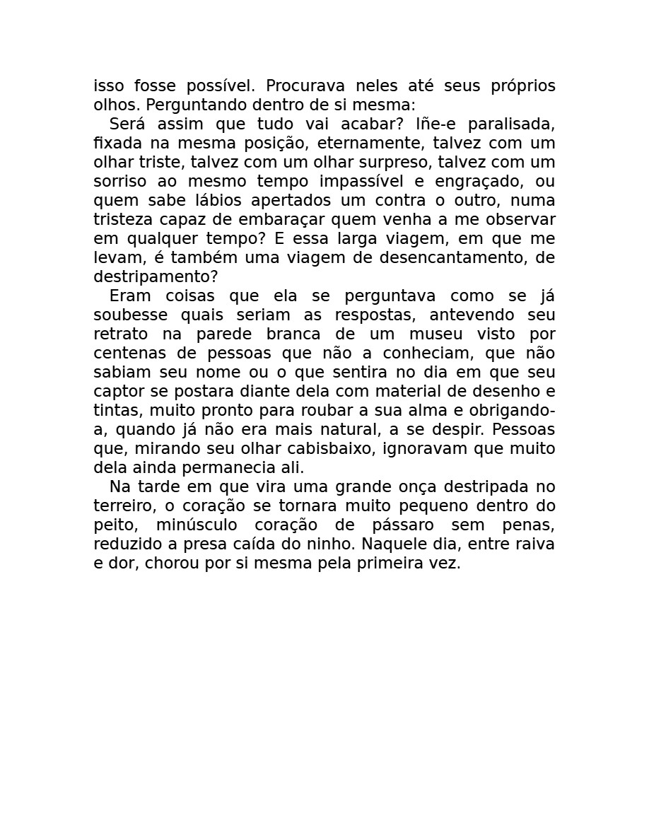 O som do rugido da onça (Micheliny Verunschk) — page 13
