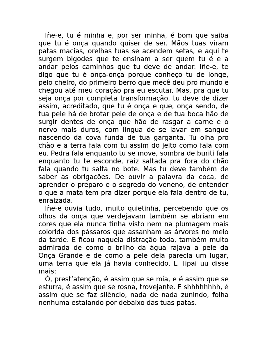 O som do rugido da onça (Micheliny Verunschk) — page 123