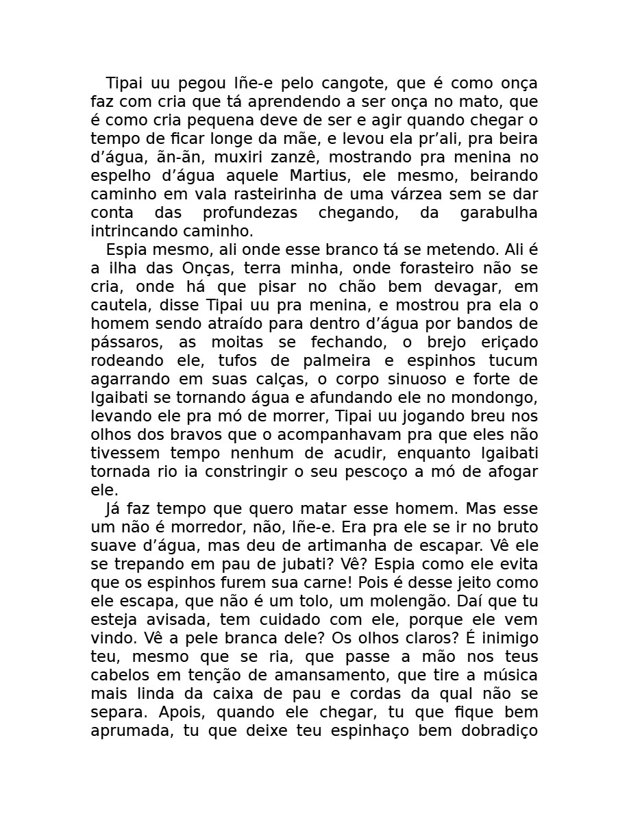 O som do rugido da onça (Micheliny Verunschk) — page 124