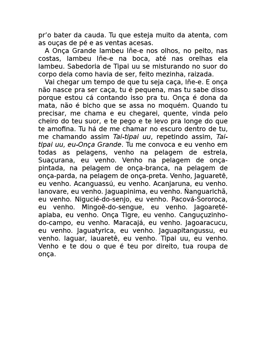 O som do rugido da onça (Micheliny Verunschk) — page 125