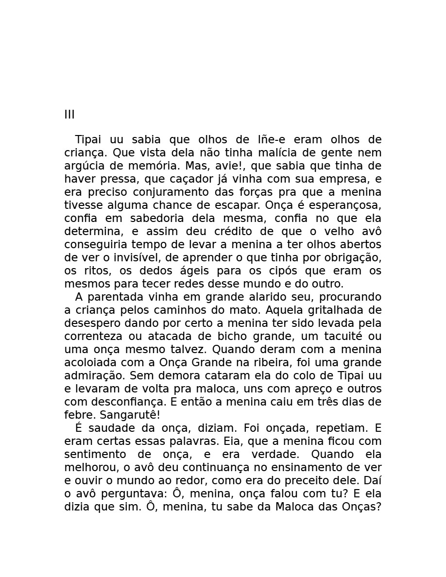 O som do rugido da onça (Micheliny Verunschk) — page 126