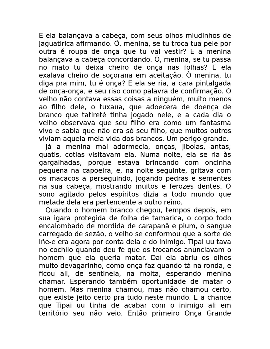O som do rugido da onça (Micheliny Verunschk) — page 127
