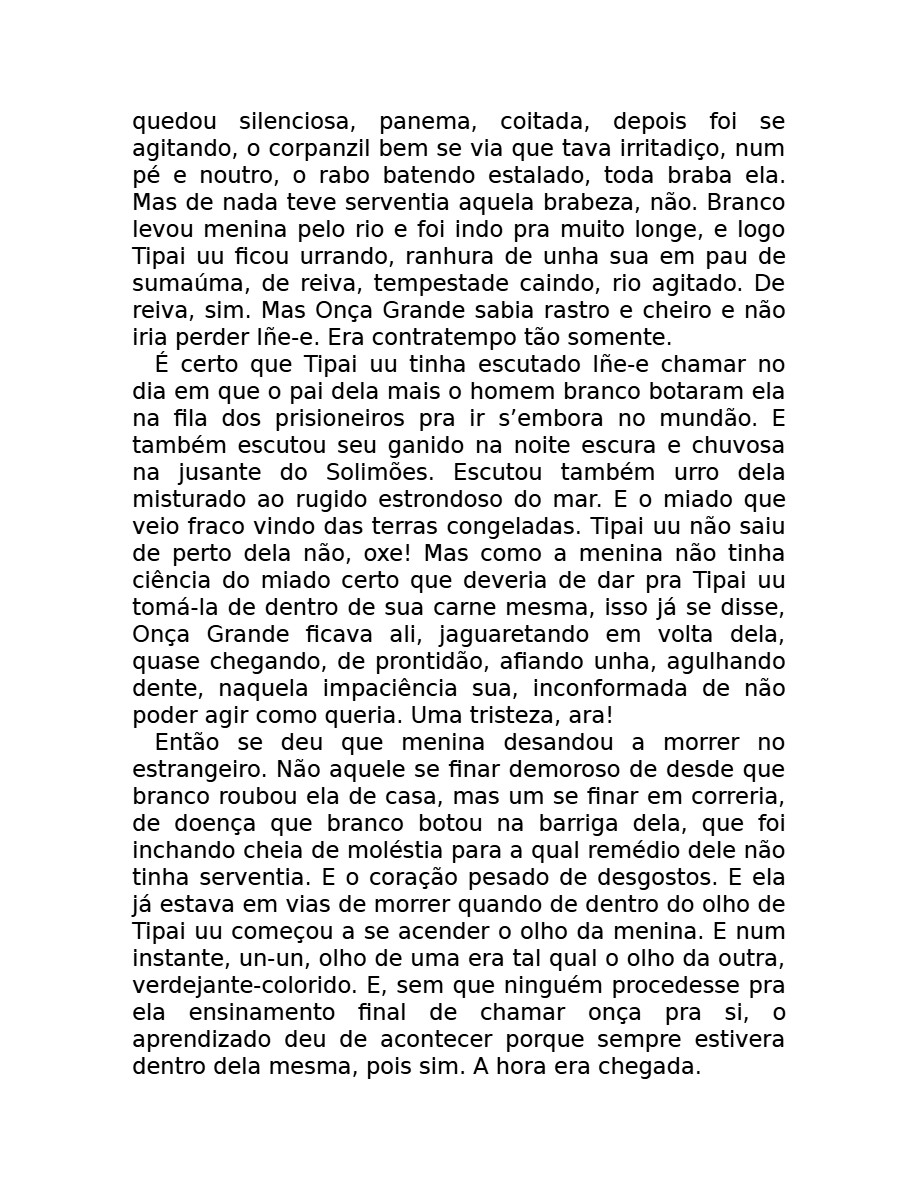 O som do rugido da onça (Micheliny Verunschk) — page 128