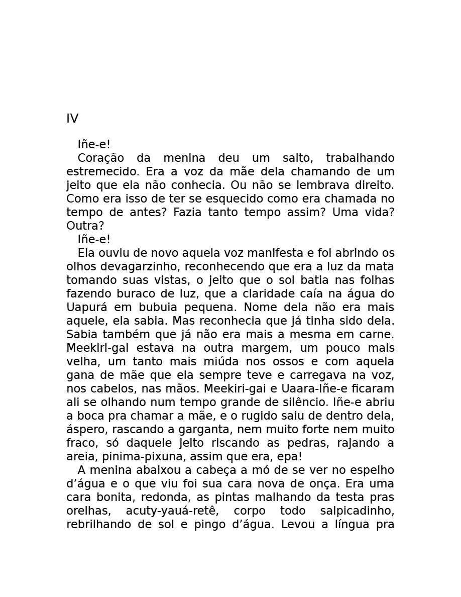 O som do rugido da onça (Micheliny Verunschk) — page 130