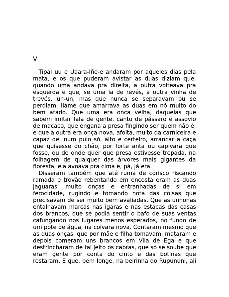 O som do rugido da onça (Micheliny Verunschk) — page 133