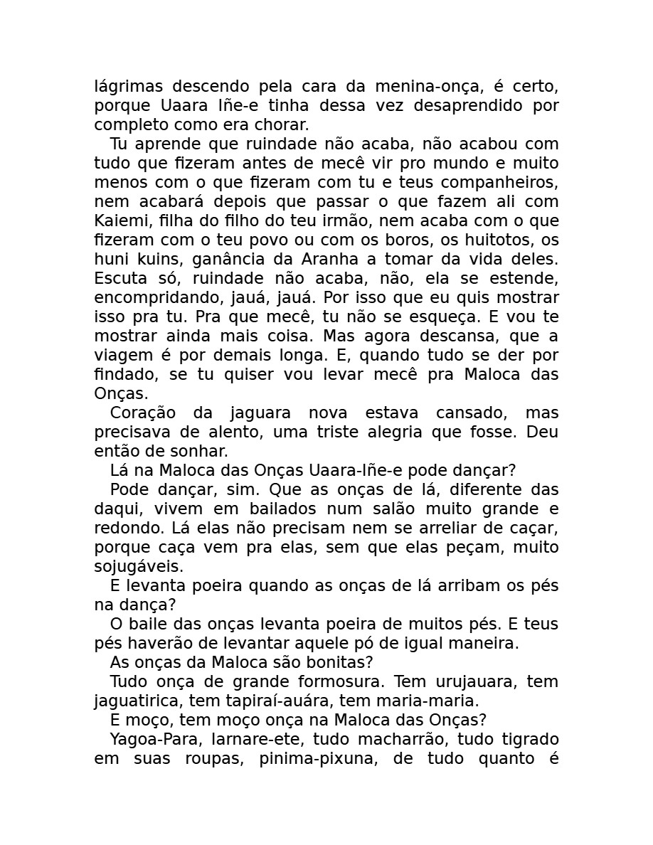 O som do rugido da onça (Micheliny Verunschk) — page 139