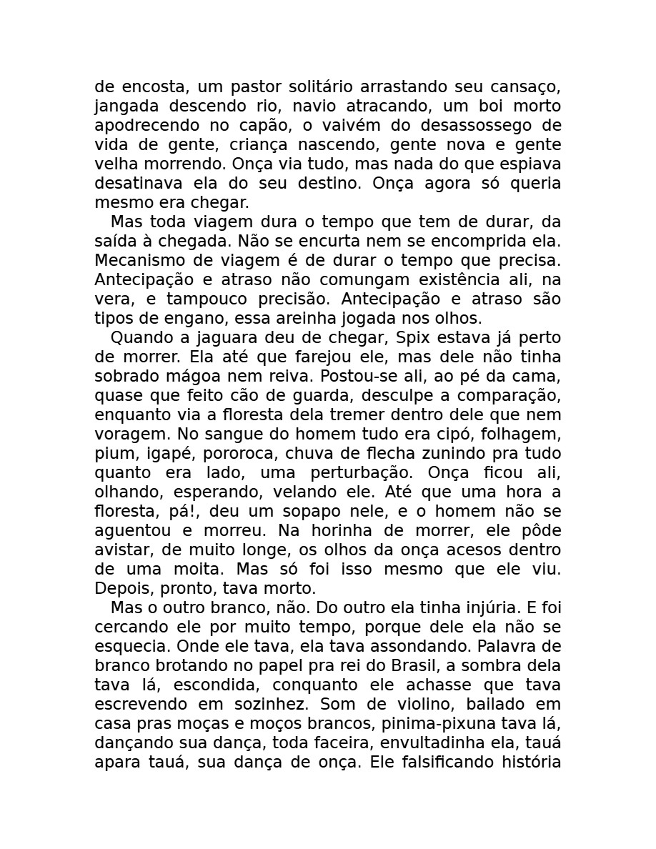 O som do rugido da onça (Micheliny Verunschk) — page 151