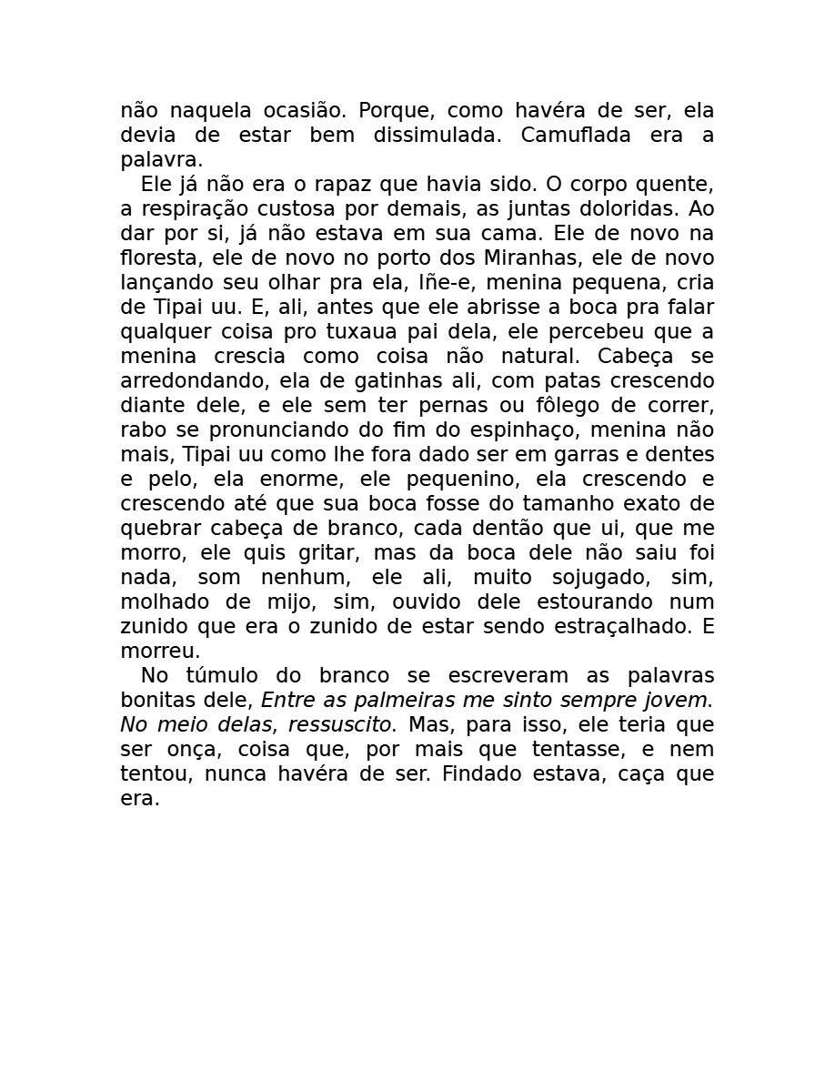O som do rugido da onça (Micheliny Verunschk) — page 153
