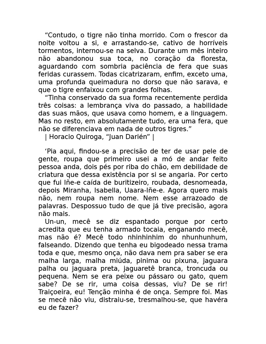 O som do rugido da onça (Micheliny Verunschk) — page 157