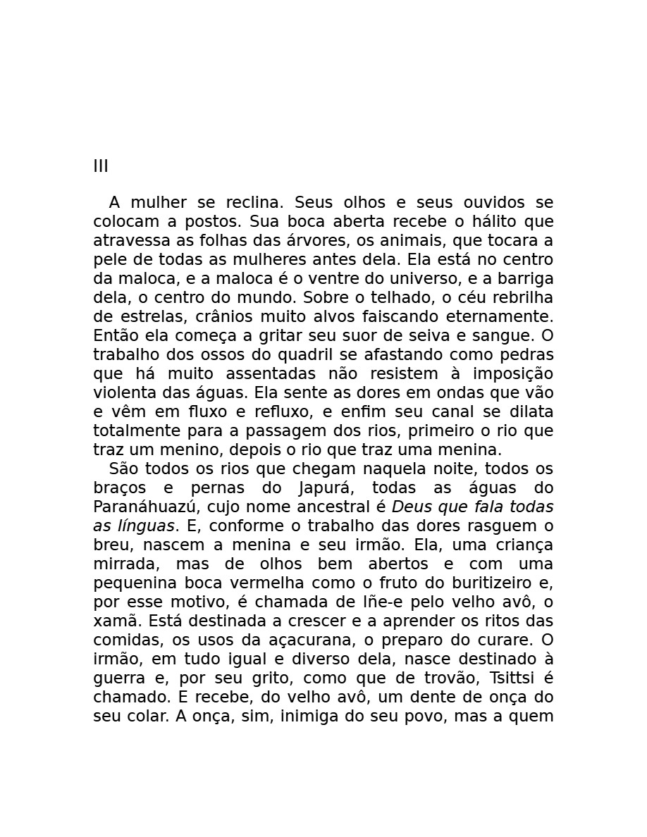 O som do rugido da onça (Micheliny Verunschk) — page 17