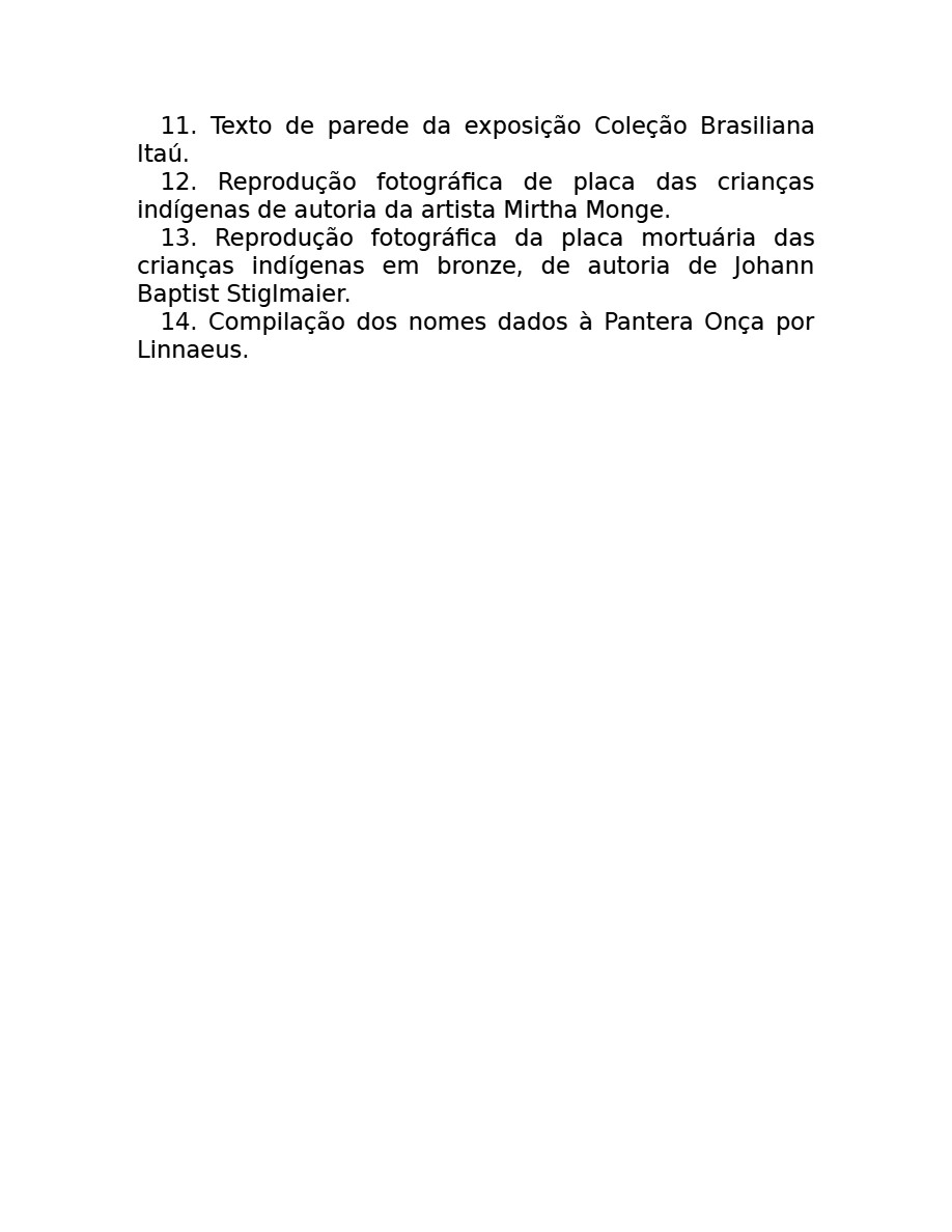 O som do rugido da onça (Micheliny Verunschk) — page 161