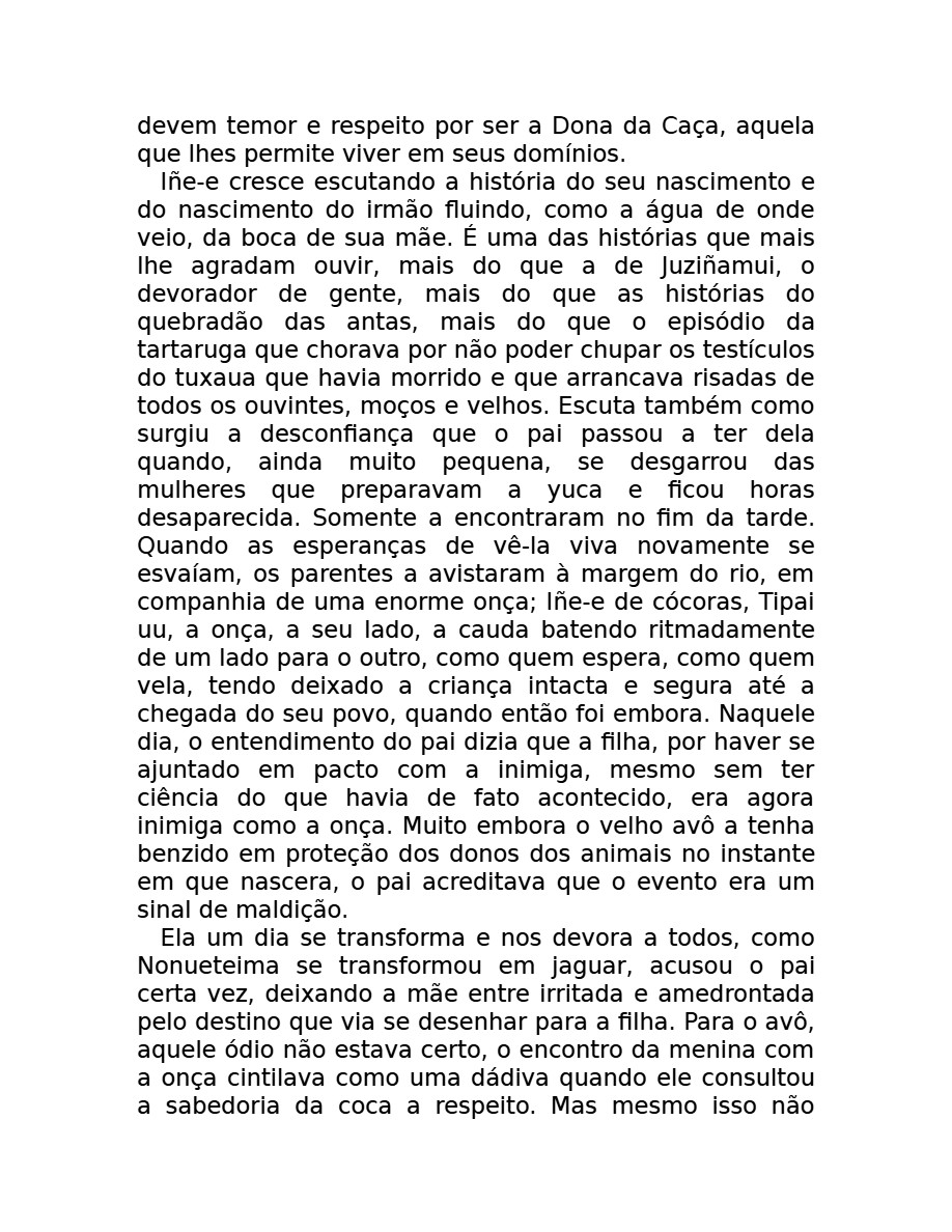 O som do rugido da onça (Micheliny Verunschk) — page 18