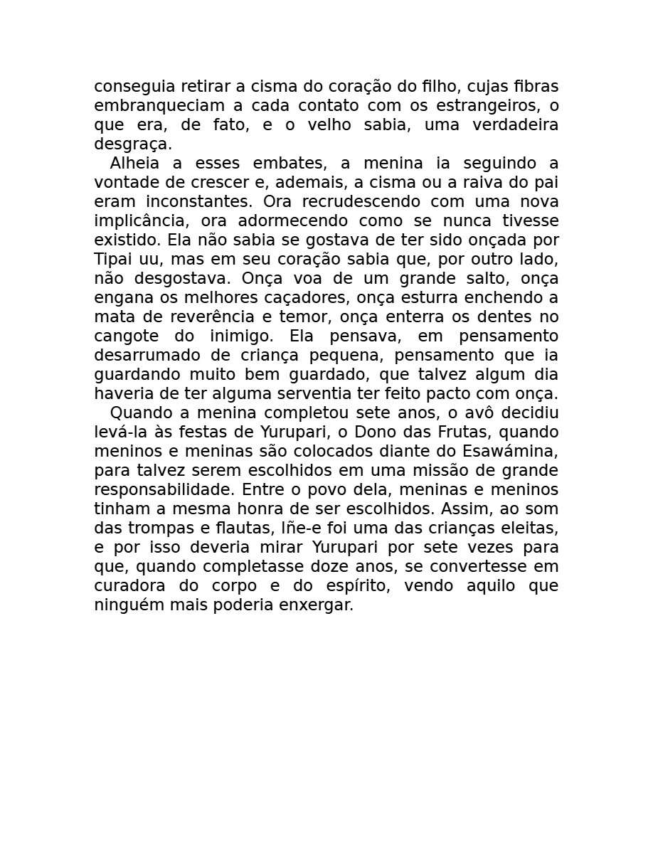 O som do rugido da onça (Micheliny Verunschk) — page 19