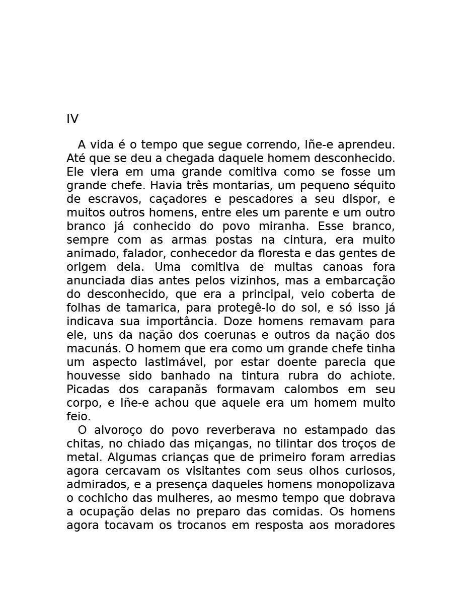 O som do rugido da onça (Micheliny Verunschk) — page 20