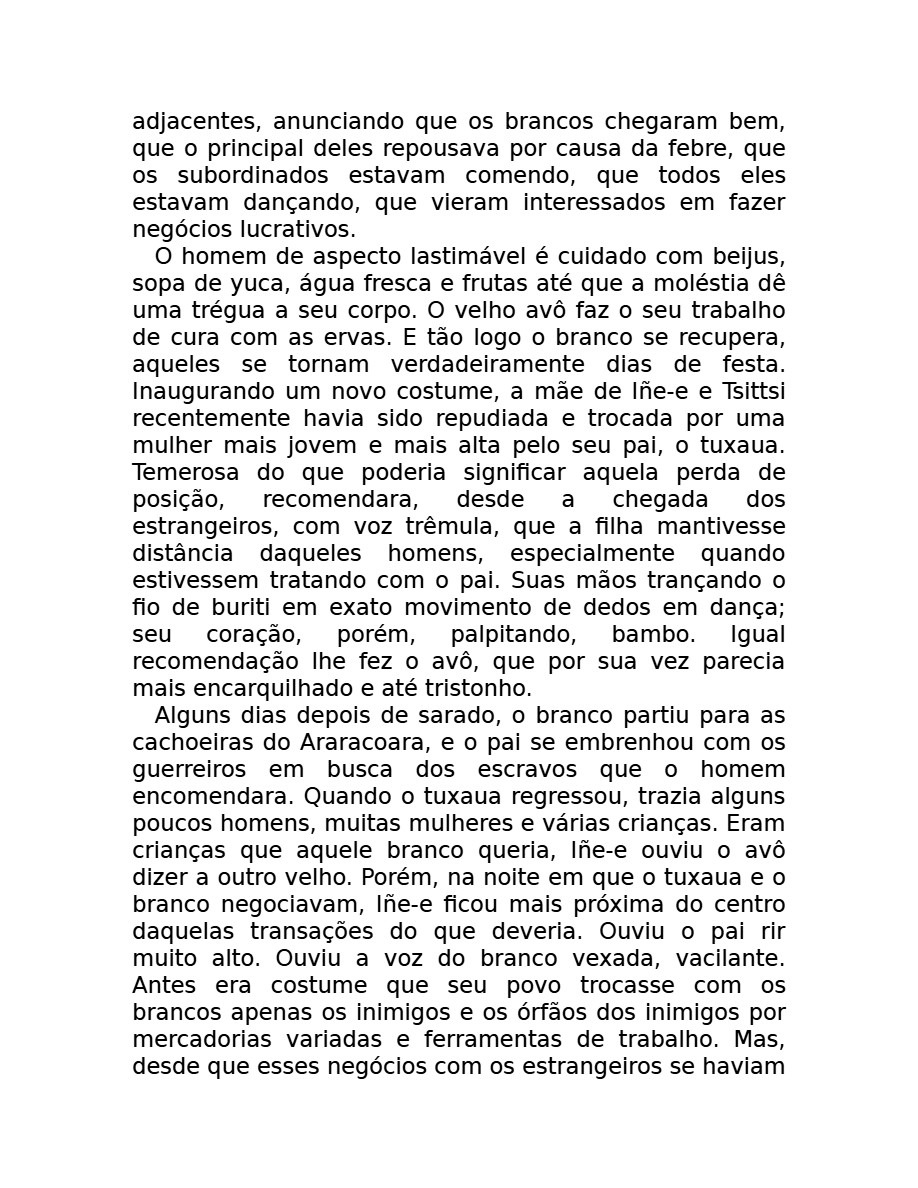 O som do rugido da onça (Micheliny Verunschk) — page 21