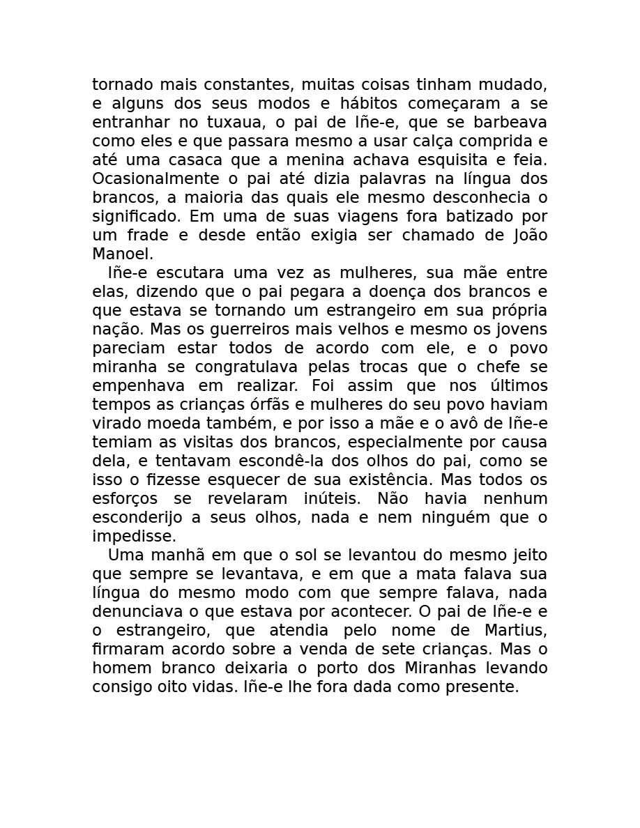 O som do rugido da onça (Micheliny Verunschk) — page 22