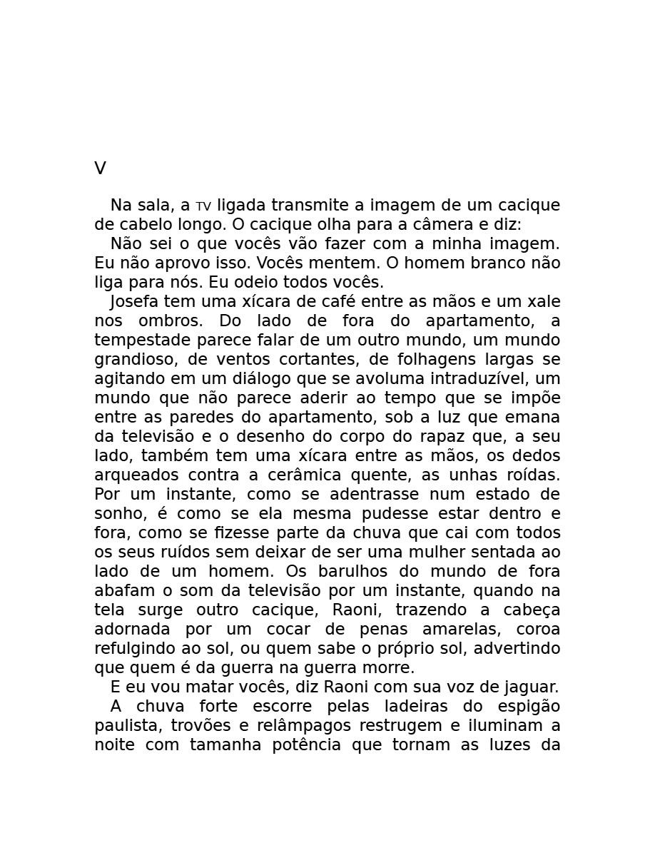 O som do rugido da onça (Micheliny Verunschk) — page 23