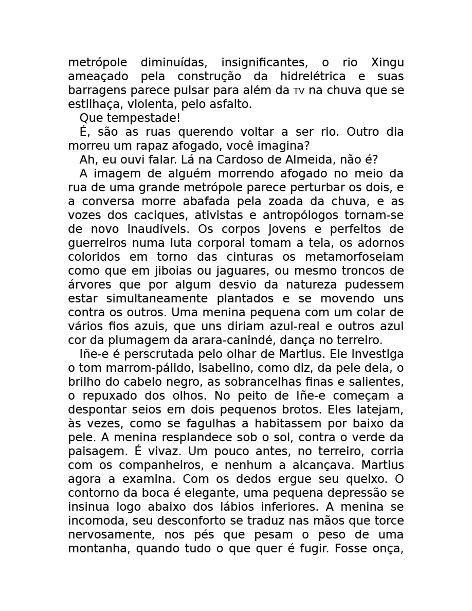 O som do rugido da onça (Micheliny Verunschk) — page 24