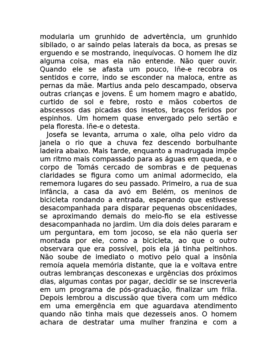 O som do rugido da onça (Micheliny Verunschk) — page 25