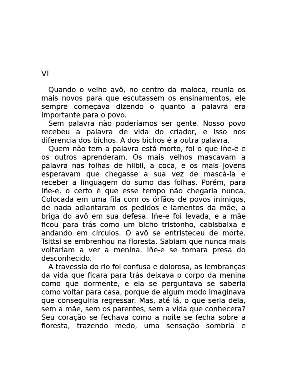 O som do rugido da onça (Micheliny Verunschk) — page 27