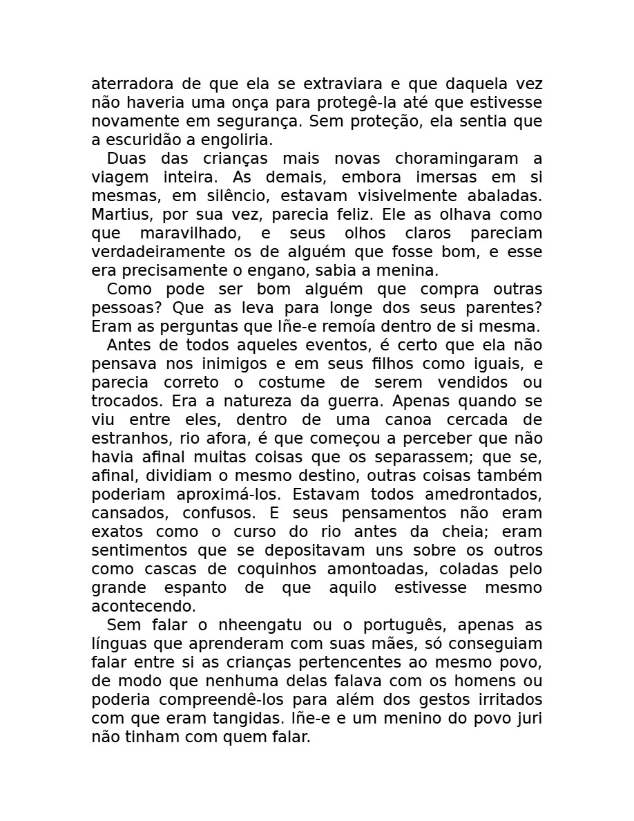 O som do rugido da onça (Micheliny Verunschk) — page 28