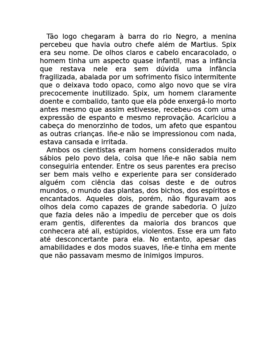 O som do rugido da onça (Micheliny Verunschk) — page 29