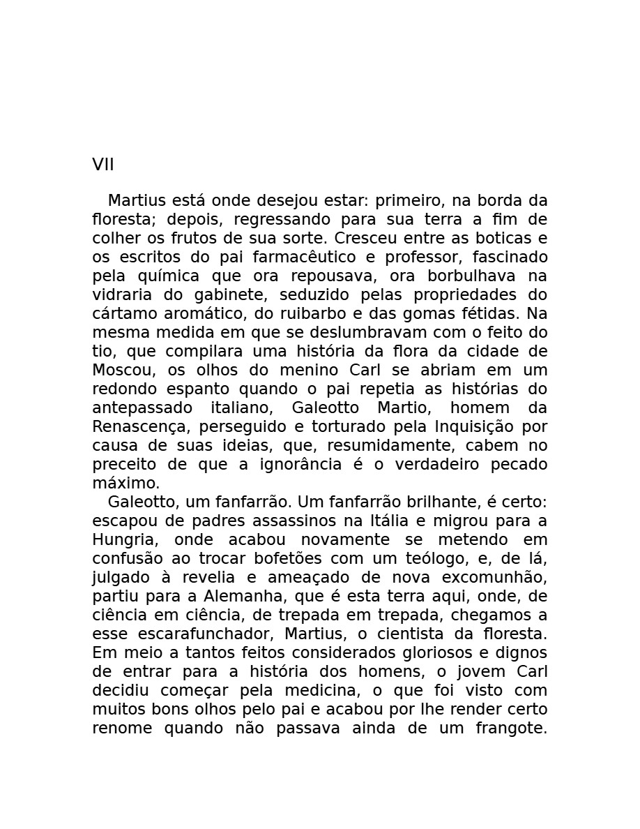 O som do rugido da onça (Micheliny Verunschk) — page 30