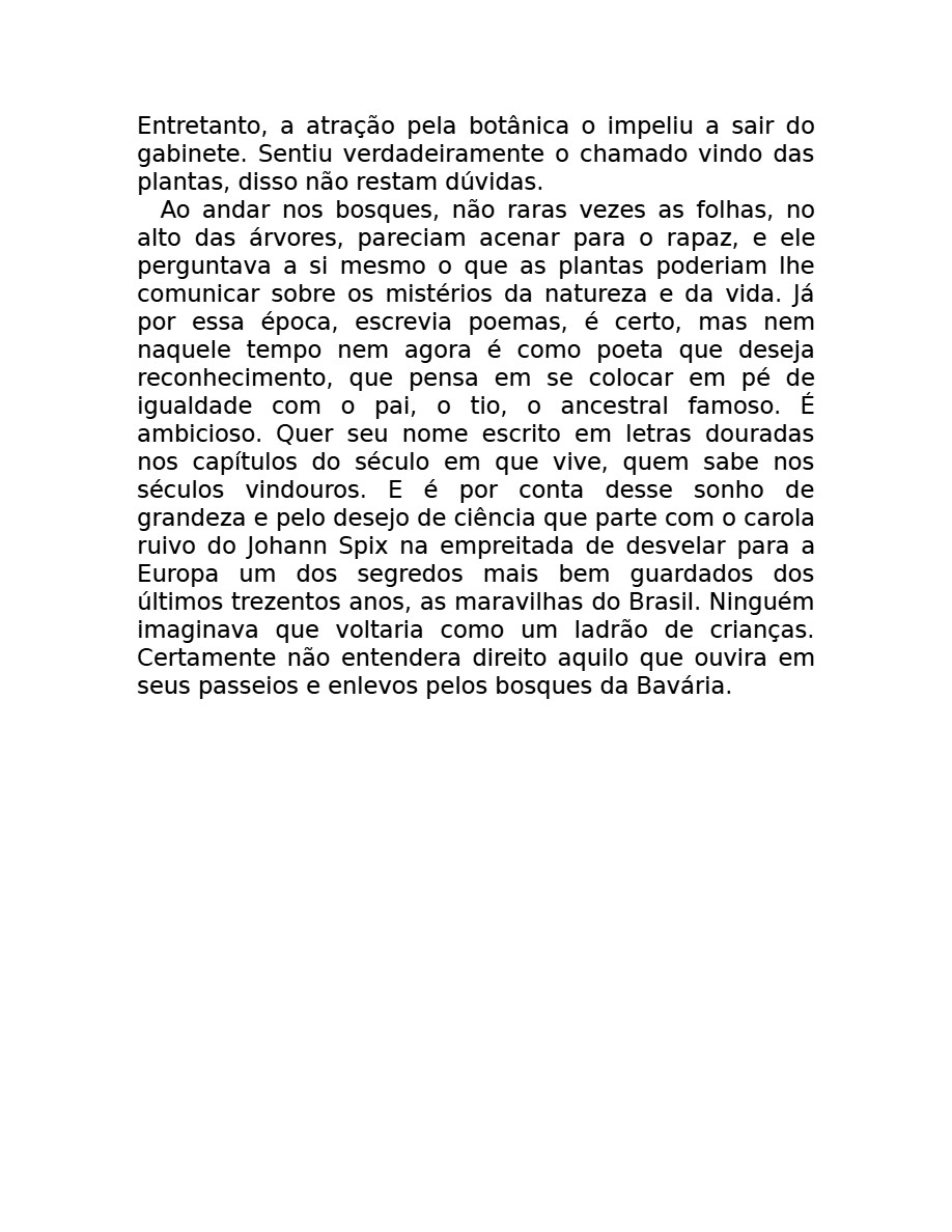 O som do rugido da onça (Micheliny Verunschk) — page 31
