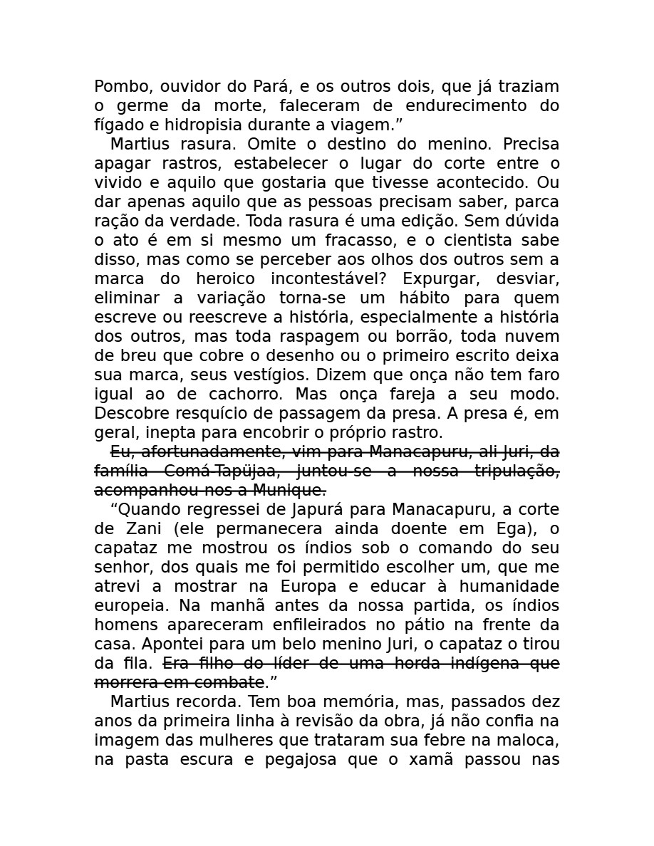 O som do rugido da onça (Micheliny Verunschk) — page 33