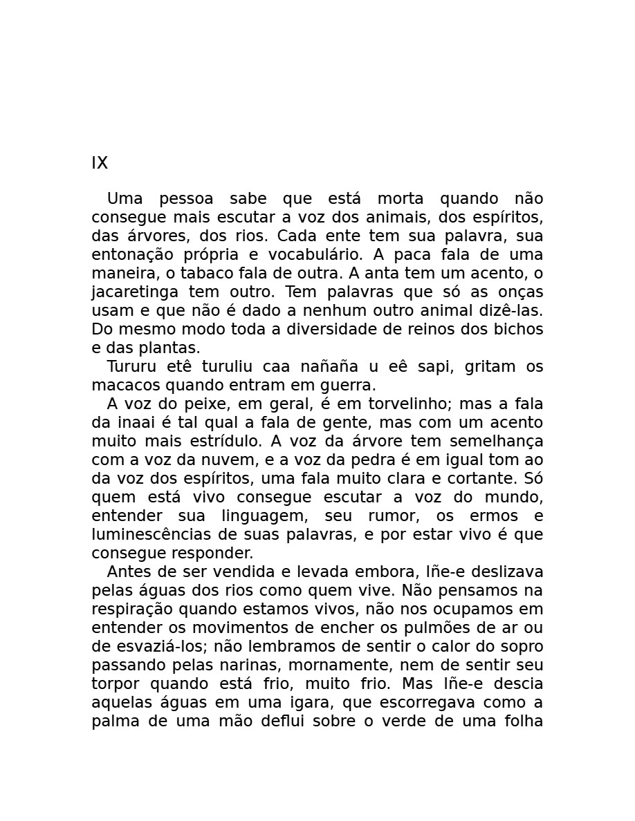 O som do rugido da onça (Micheliny Verunschk) — page 38