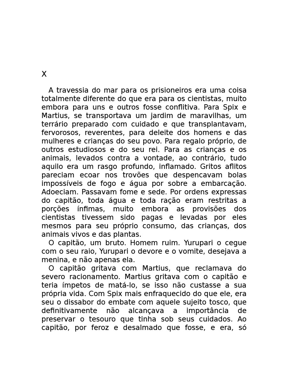 O som do rugido da onça (Micheliny Verunschk) — page 41