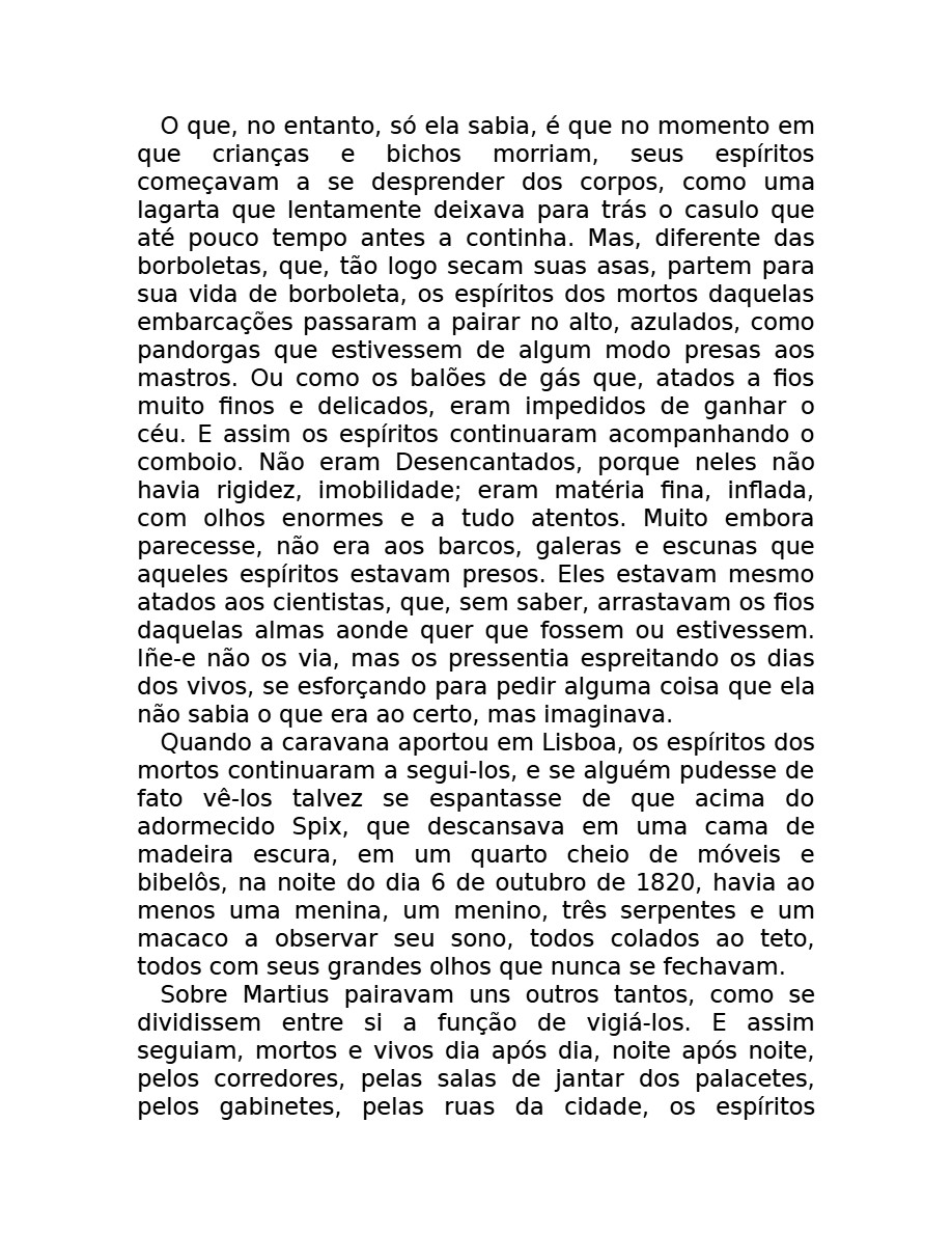 O som do rugido da onça (Micheliny Verunschk) — page 43