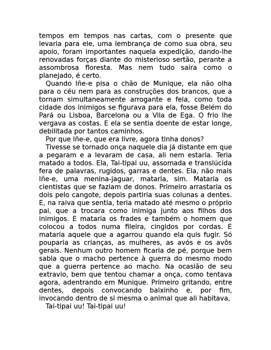 O som do rugido da onça (Micheliny Verunschk) — page 51