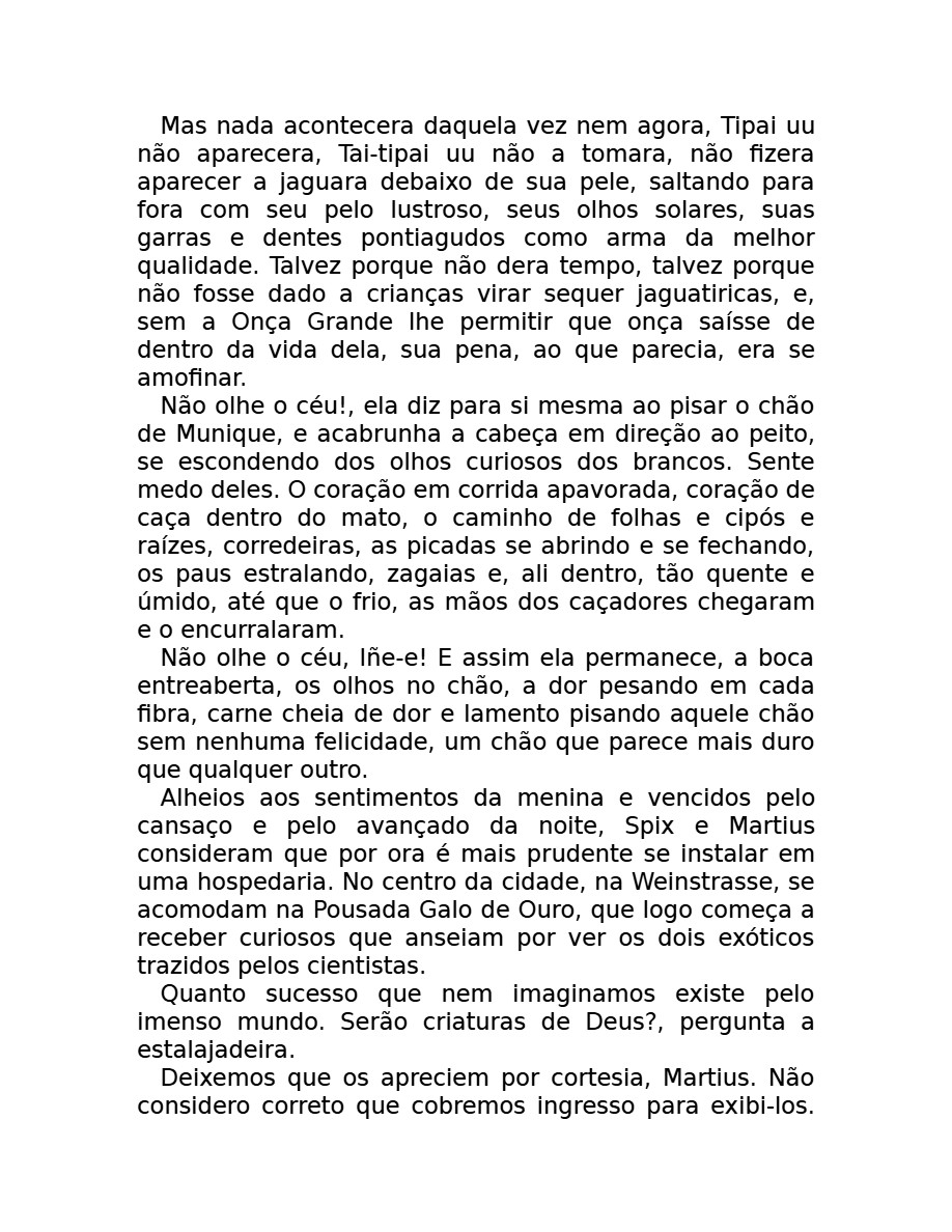 O som do rugido da onça (Micheliny Verunschk) — page 52