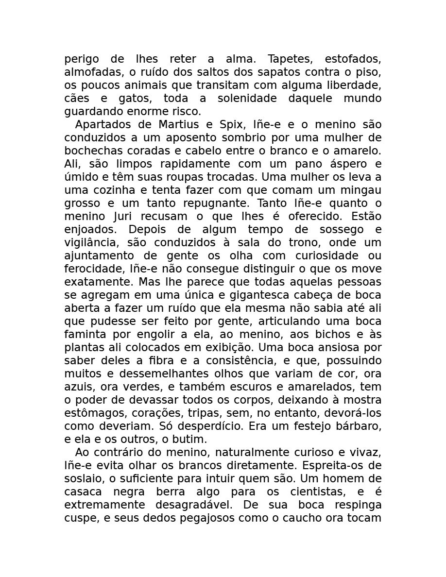 O som do rugido da onça (Micheliny Verunschk) — page 67