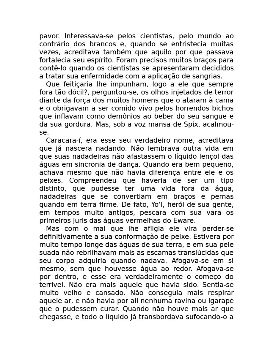 O som do rugido da onça (Micheliny Verunschk) — page 93