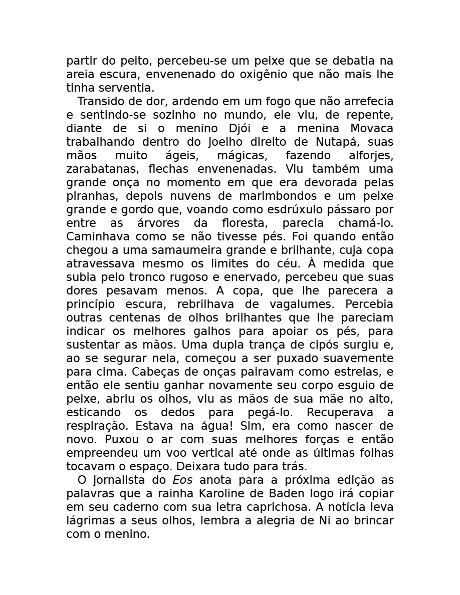 O som do rugido da onça (Micheliny Verunschk) — page 94