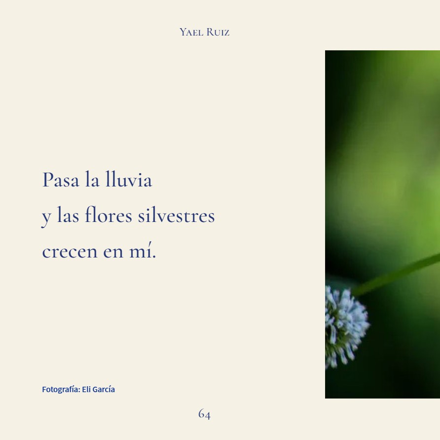 Los ojos del sol — page 64