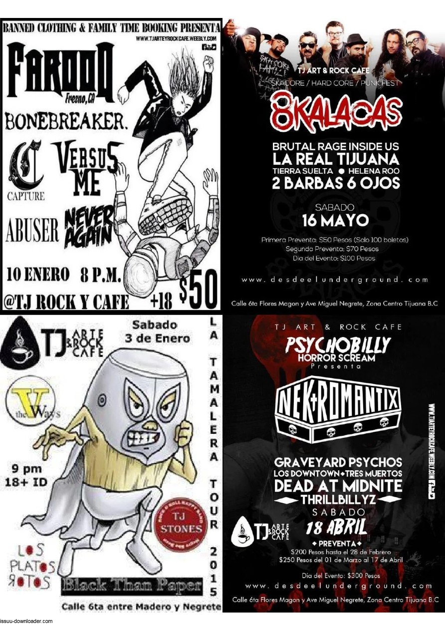 EN TIJUANA REVISTA - EDICIÓN 50 — page 39