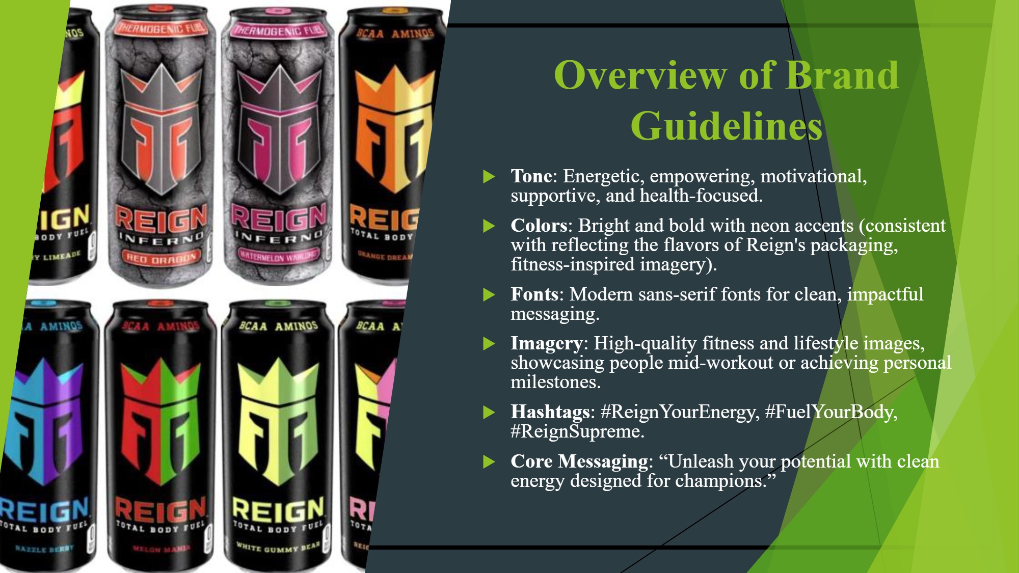 Portfolio & Prof Practice - Final Project – Digital Strategy - Reign Total Body Fuel -V. Stewart — page 6