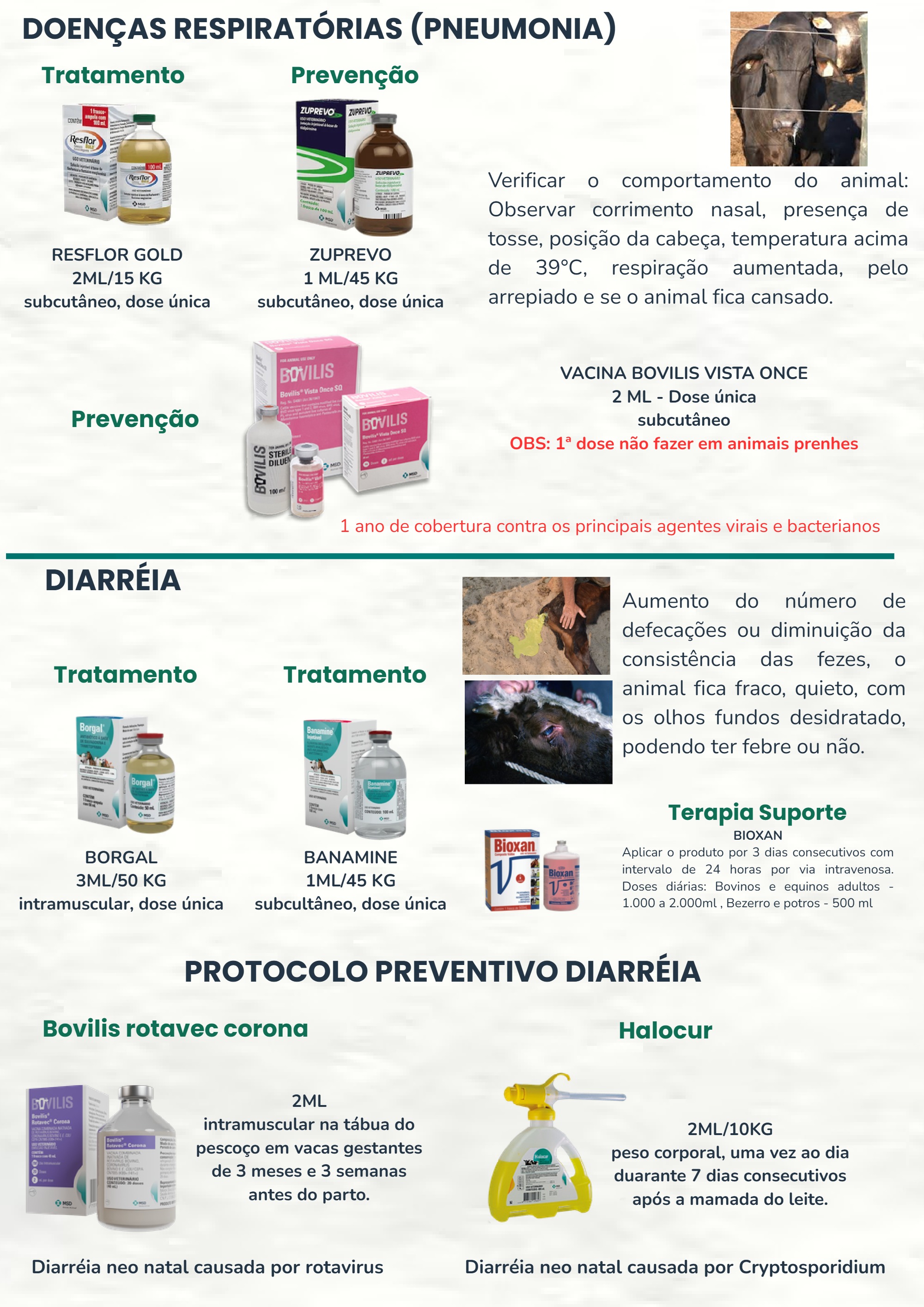 Cartilha de Tratamento de doença (2) — page 2