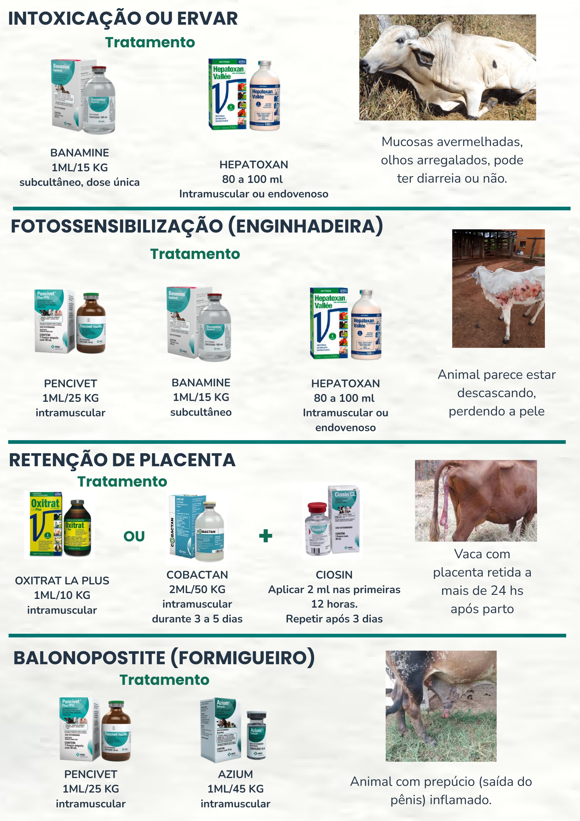 Cartilha de Tratamento de doença (2) — page 3
