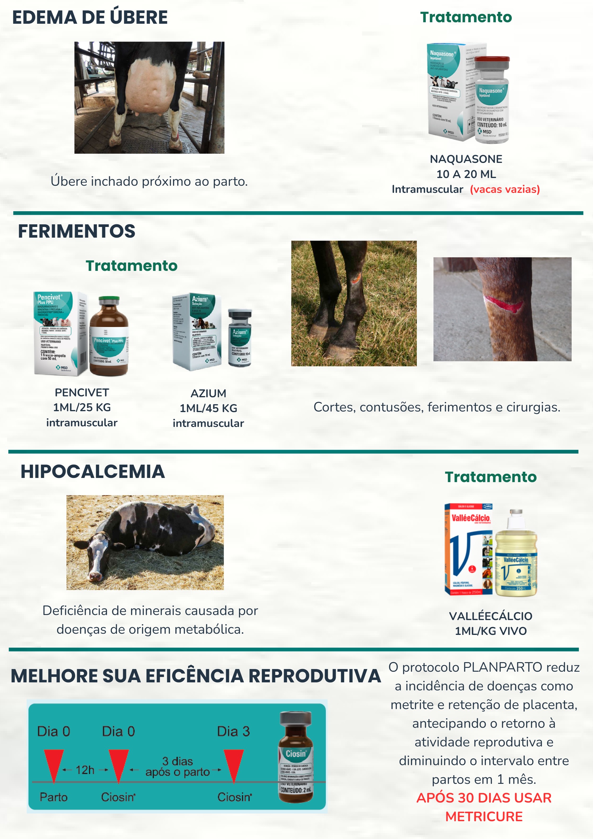 Cartilha de Tratamento de doença (2) — page 4