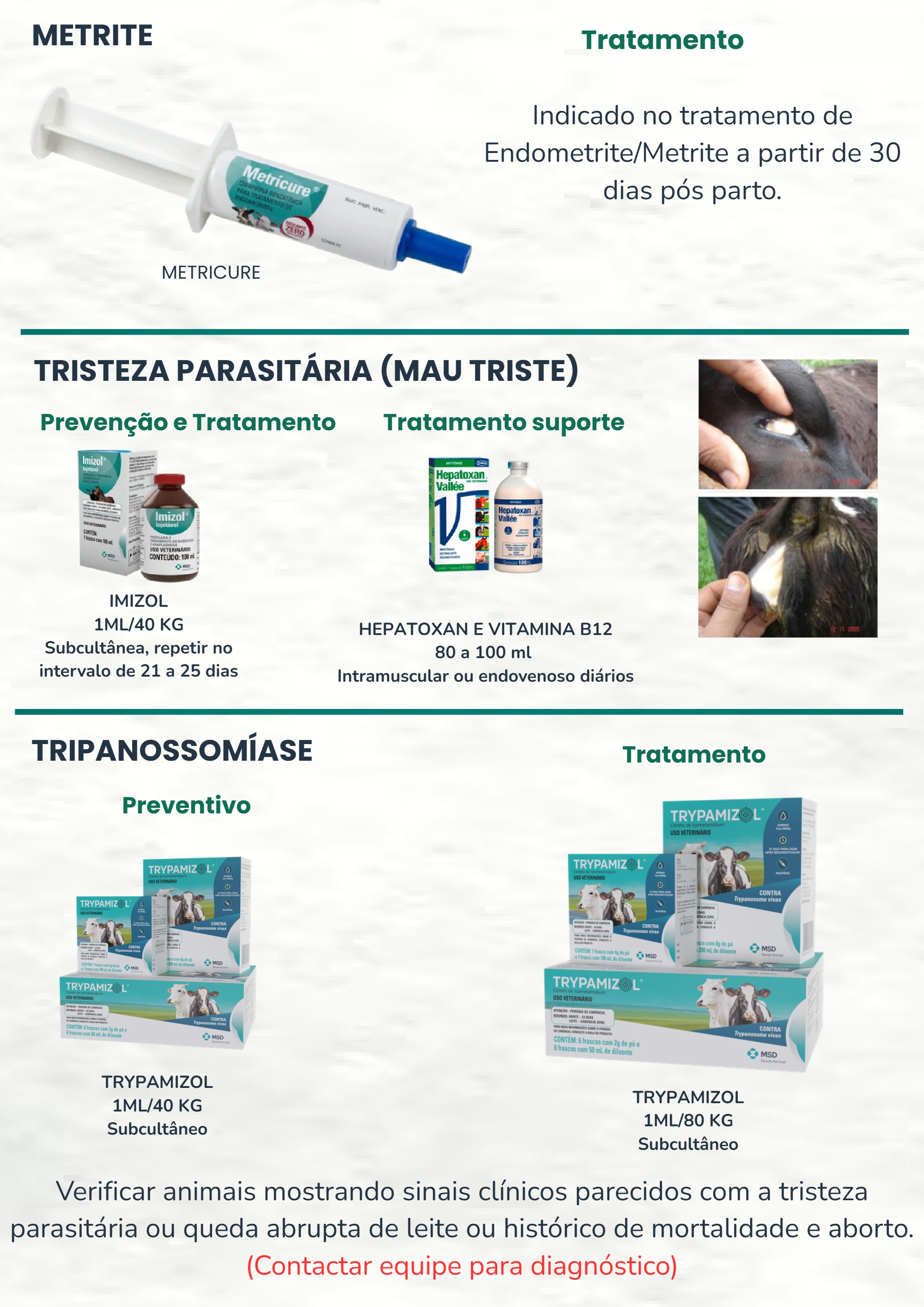 Cartilha de Tratamento de doença (2) — page 5
