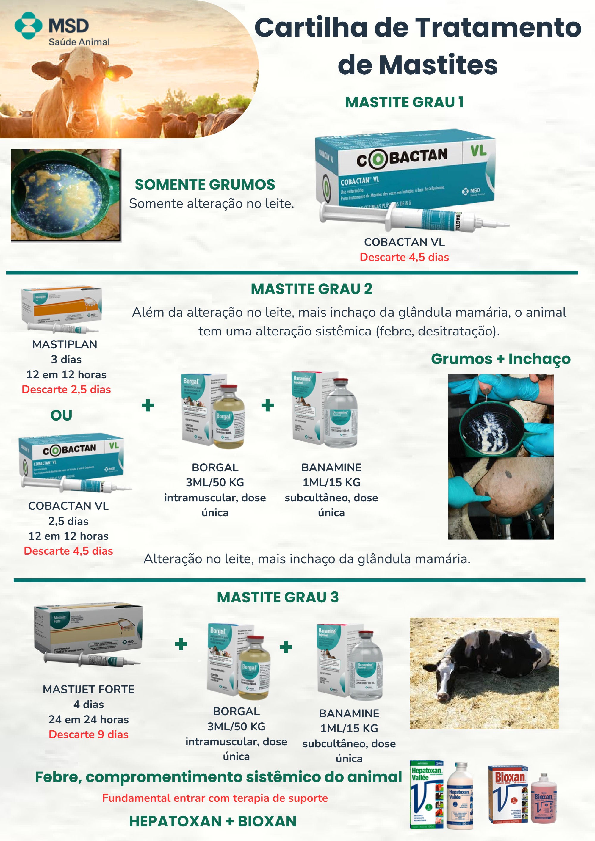 Cartilha de Tratamento de doença (2) — page 6