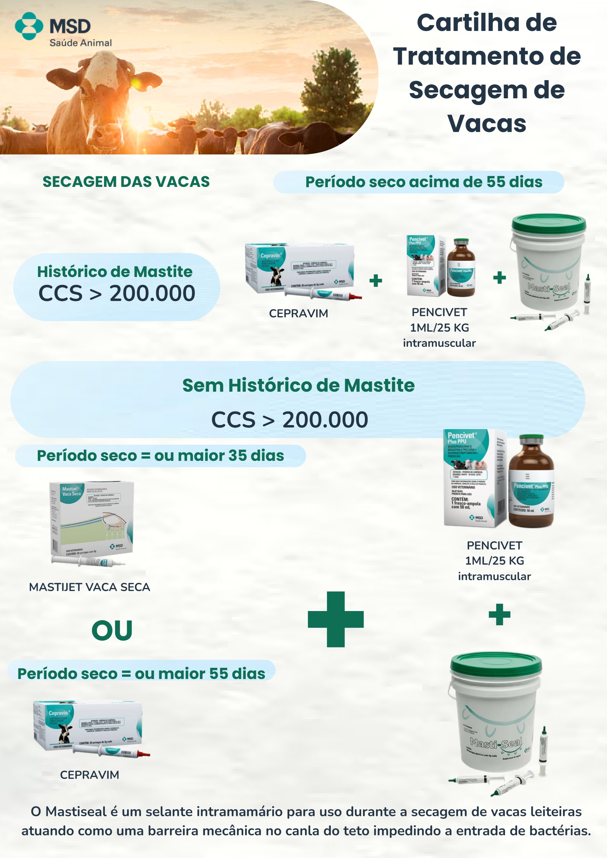 Cartilha de Tratamento de doença (2) — page 7