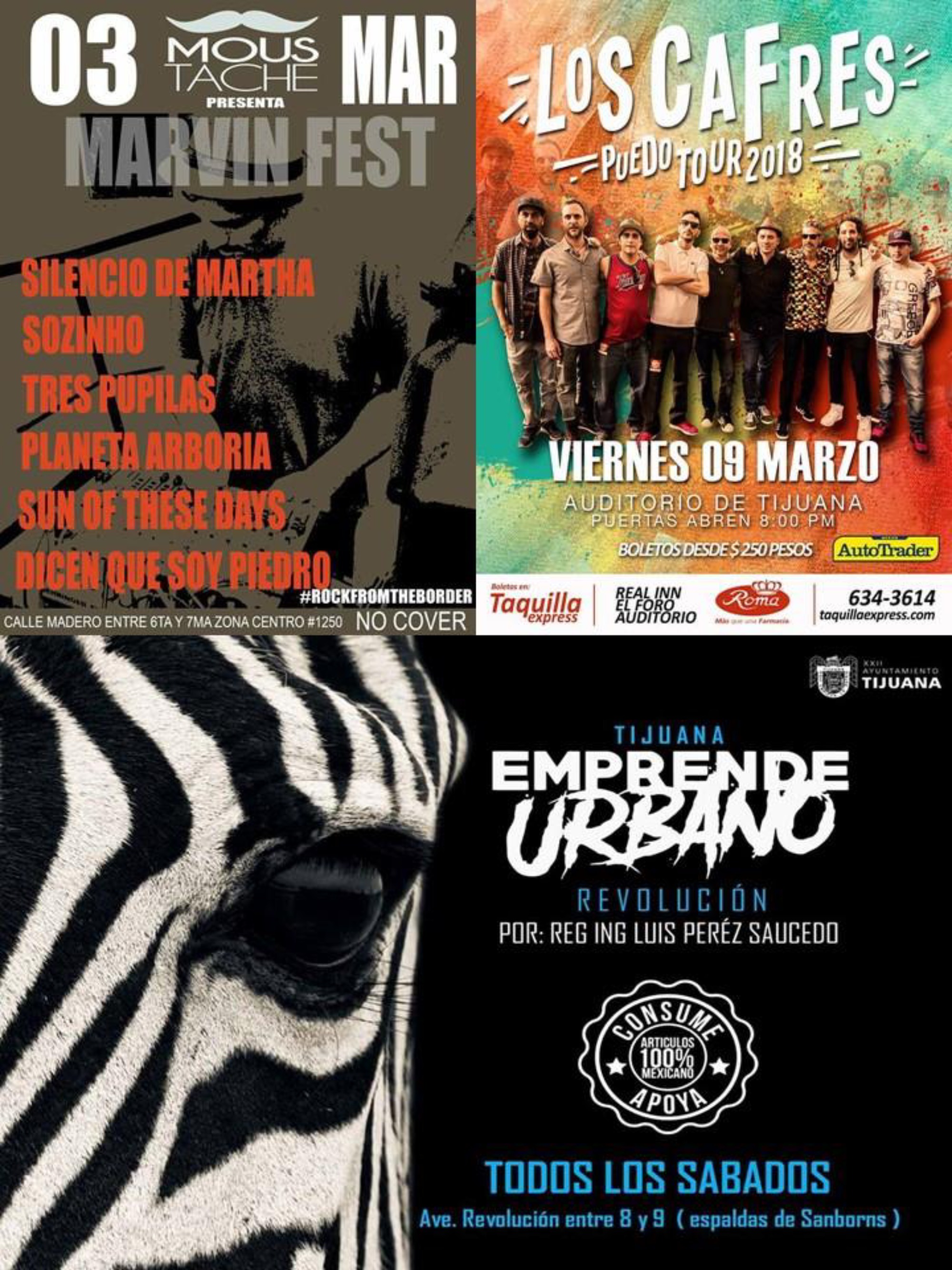 EN TIJUANA HAY ROCK REVISTA - EDICIÓN 79 — page 29